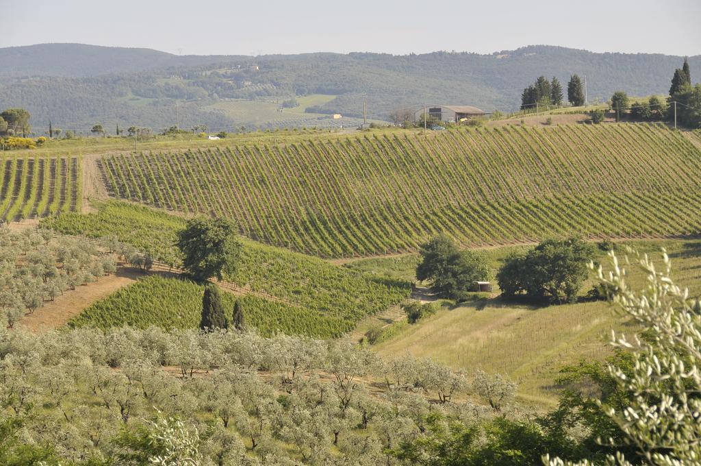 Agriturismo Renai E Monte II Gambassi Terme Bagian luar foto
